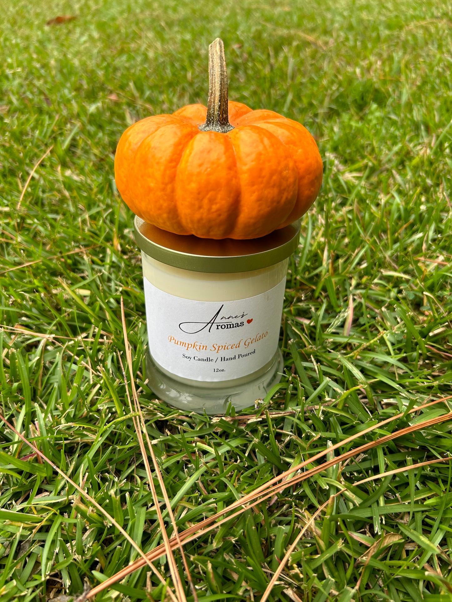 Pumpkin Spiced Gelato